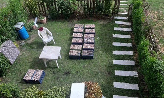 Snakes or animal genitals? Chinese BBQ pictures spark row in coronavirus-affected Egypt