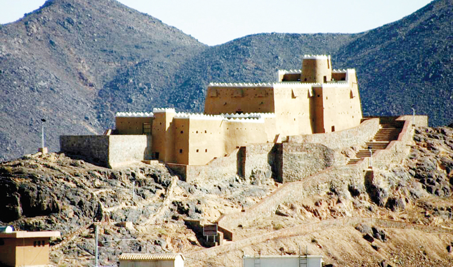 Photo/Saudi Tourism