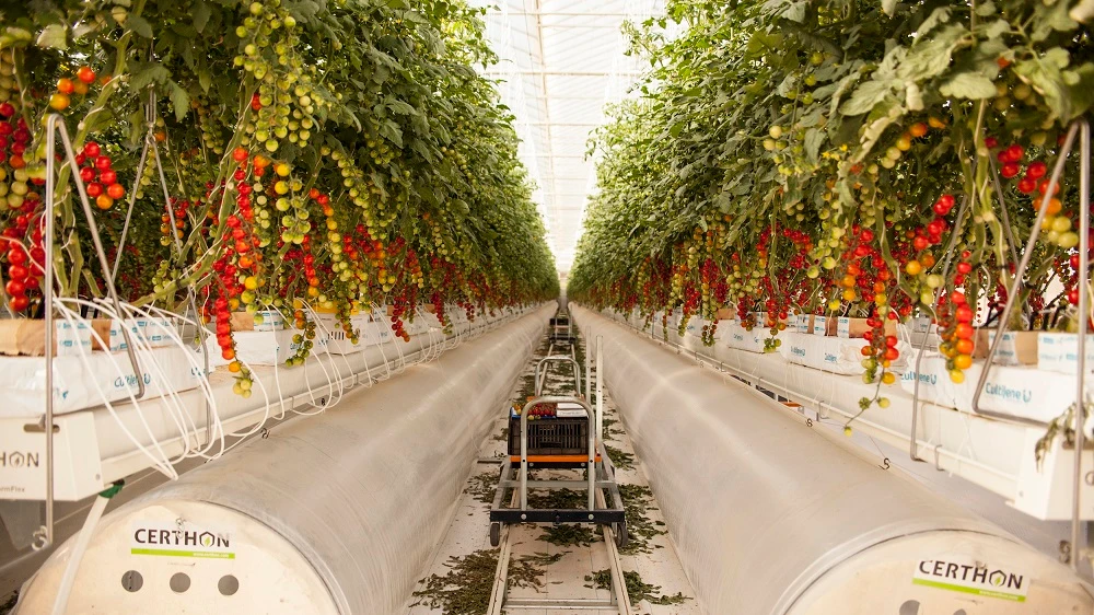 Pure Harvest managed to raise $20.6 million in its Series A financing round. (Supplied)