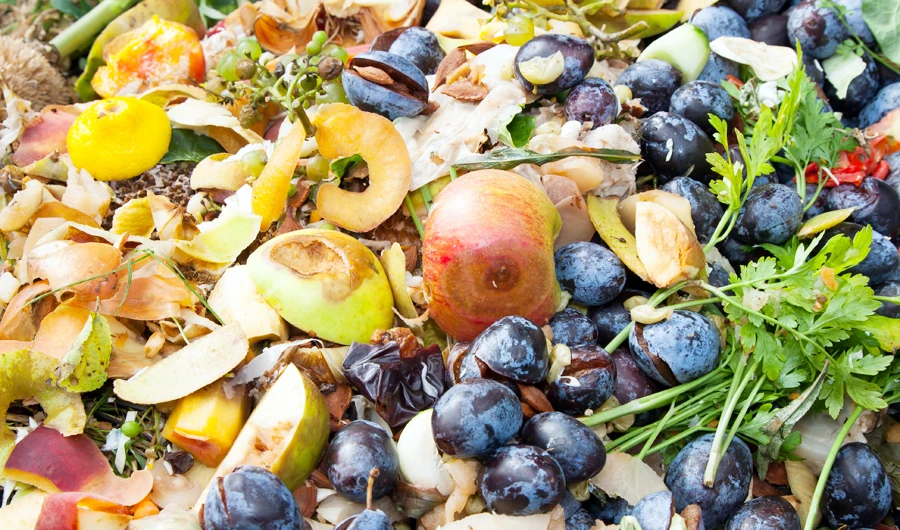 More than 335,000 tons of vegetables are wasted annually. (Shutterstock)