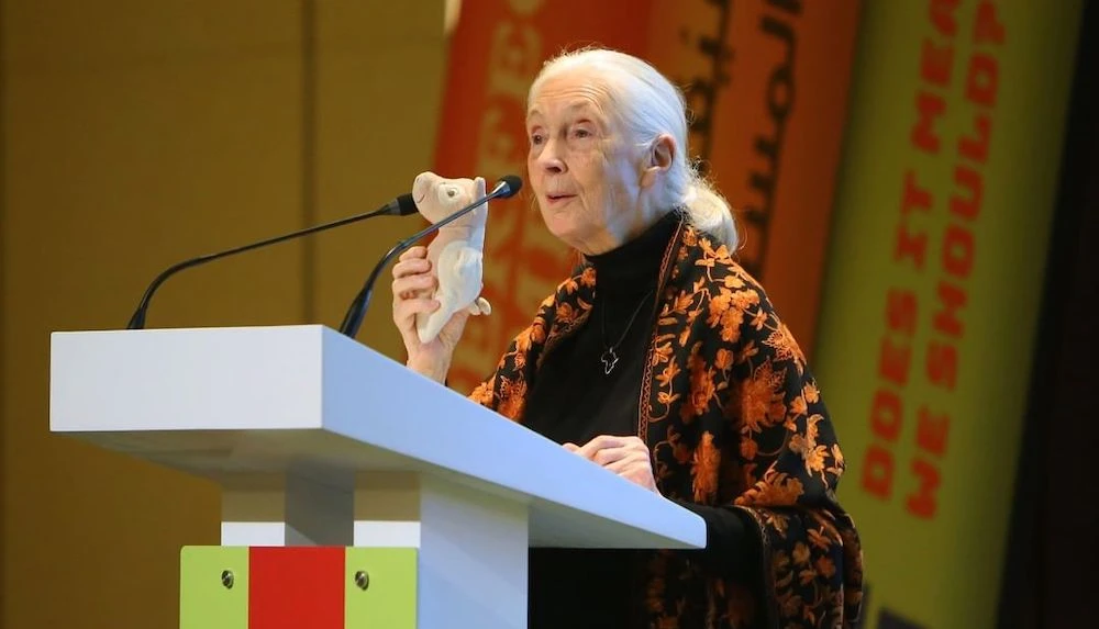 Emirates Literature Foundation goes digital, unveils lineup of author talks online
