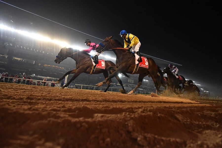 The Dubai World Cup horse race was due to take place on March 25, it was then due to take place without any spectators before it was eventually decided to postpone the 28th race until next year. (File/AFP)