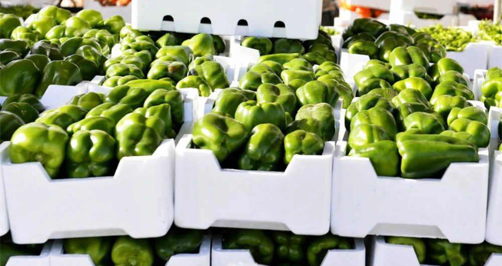 The Ministry of Environment, Water and Agriculture is working with producers to maintain the quality and quantities of supplies. (SPA)