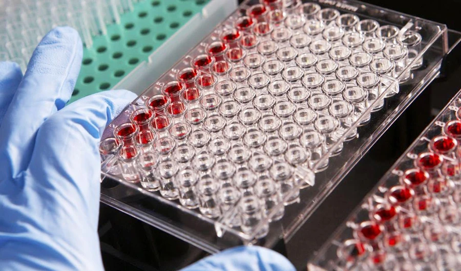 The combination of a protein-based antigen together with an adjuvant, is well-established and used in a number of vaccines available today.