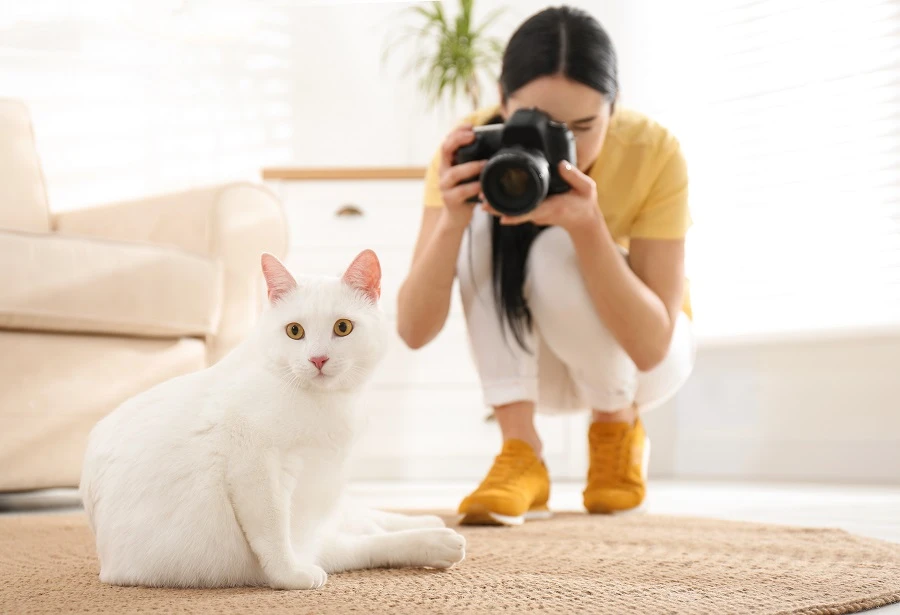 Use these nifty tricks to stockpile even more photos of your pets, because why not? (Shutterstock)