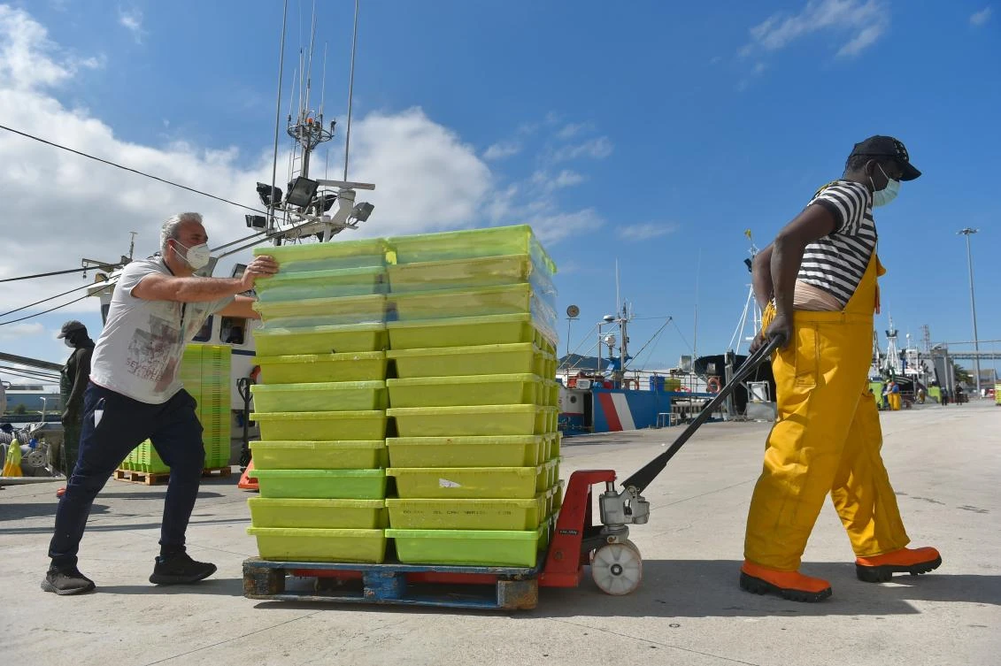 Fishers wearing protective gear unload the day’s catch, in the seaport of the Spanish city of Santona on April 20, 2020. Spain has suffered the third-highest number of deaths in the world after the United States and Italy. (AFP)