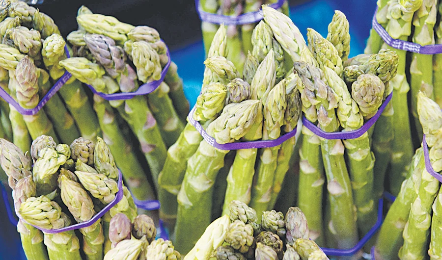 A manpower shortage has caused a crisis in the asparagus sector. (AFP)