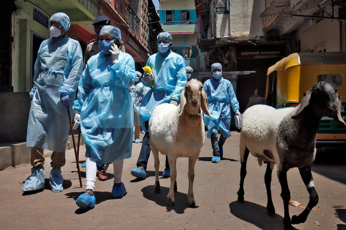 Parts of India have recorded dramatic falls in mortality rates after a nationwide lockdown was imposed to fight the new coronavirus. (Reuters)