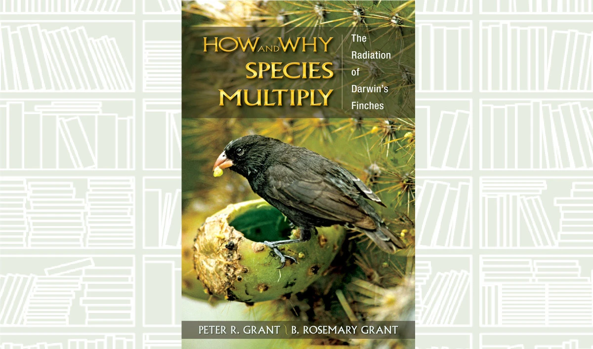 What We Are Reading Today: How and Why Species Multiply
