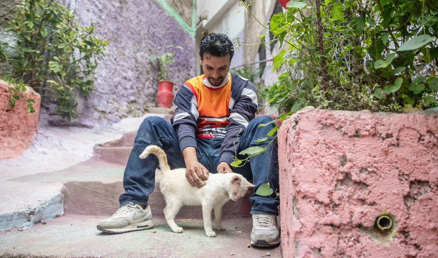 Noureddine Elmihnida pets a cat next to stairs he helped paint during a health state of emergency and home confinement order, in El-Youssoufia, Rabat, Morocco. (AP)