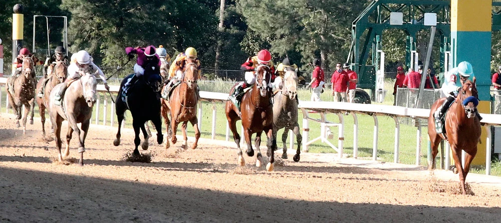 Charlatan, right, with Martin Garcia aboard, leads the way in deep stretch en route to winning the first division of the Arkansas Derby horse race Saturday at Oakland Racing Casino Resort. (AP)