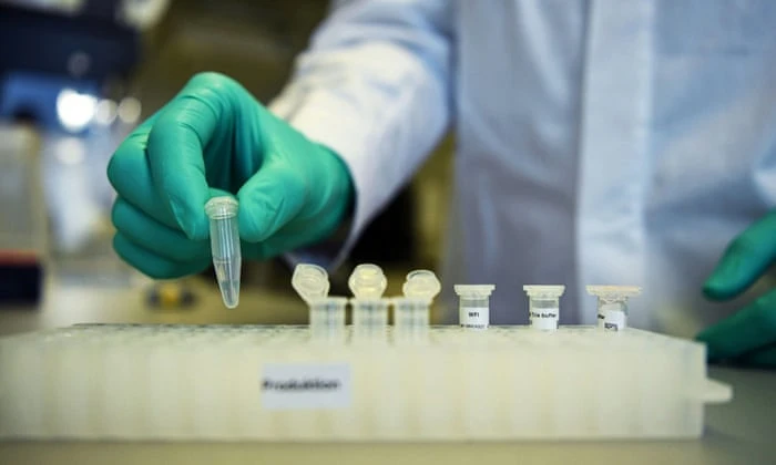 An Italian coronavirus vaccine has antibodies generated in mice that work on human cells, according to tests carried out at Rome’s infectious-disease Spallanzani Hospital. (Reuters/File Photo)