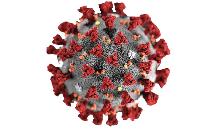 Coronavirus may lose potency over time: Italian experts