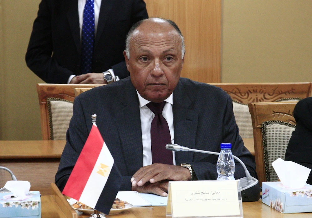 Egypt, UAE, France, Greece and Cyprus condemn Turkey's actions in Libya, Cyprus