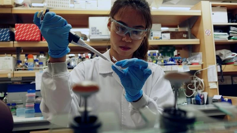 Coronavirus vaccine could be ready in a year: EU agency