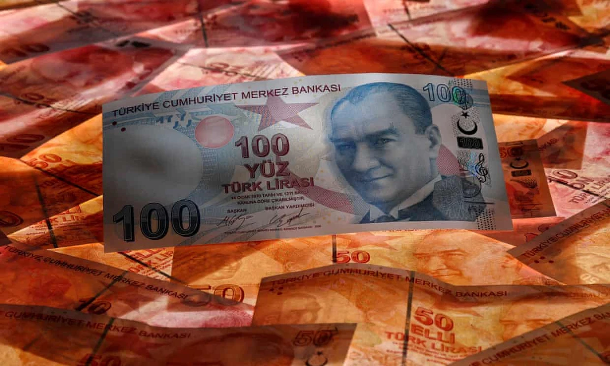 The lira touched a historic low earlier this month as investors fretted over a drop in the central bank’s net FX reserves and the country’s relatively high foreign debt obligations. (Reuters)