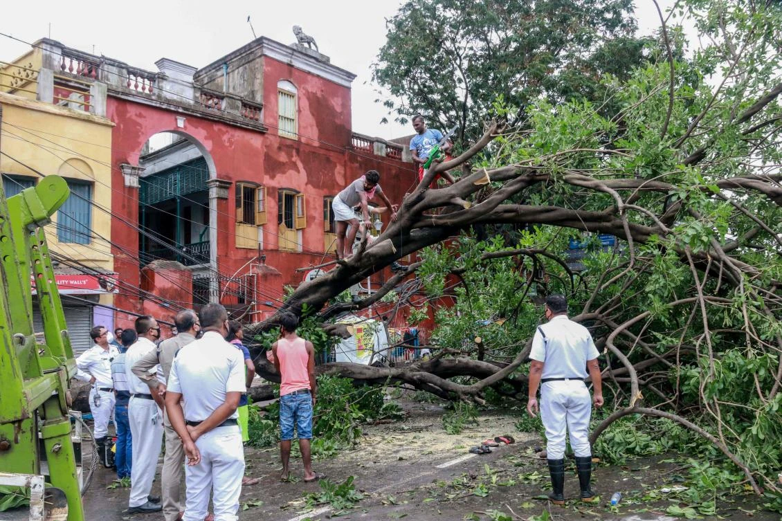 Residents clear a tree that fell on electric lines after the landfall of cyclone Amphan, the most powerful storm in the region in more than a decade, in Kolkata on May 21, 2020. (AFP)