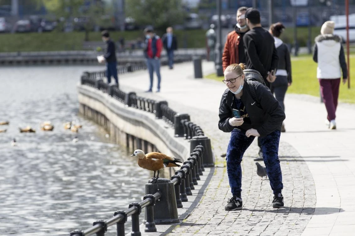 Russia’s total number of coronavirus infections rose to 326,448 after a record daily ruse of 8,894 cases. Above, a resident enjoys a sunny day at the Ostankino Pond in Moscow on May 20, 2020. (AP)