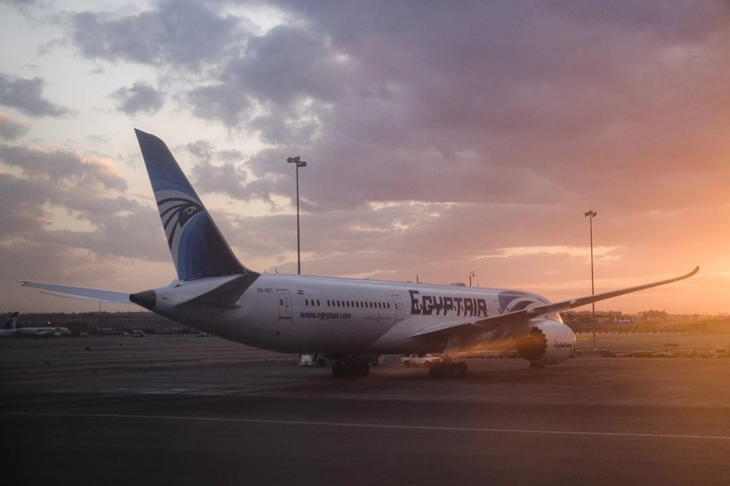 Egypt has operated over 30 repatriation flights from Kuwait alone. (File/AFP)
