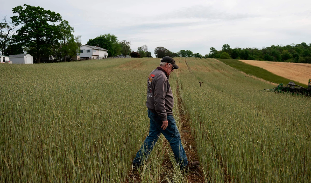 American farmers worry as crop prices dip amid corona outbreak