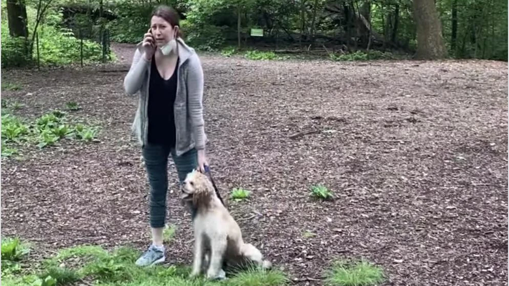 Anger as white woman reports black birdwatcher in Central Park to police