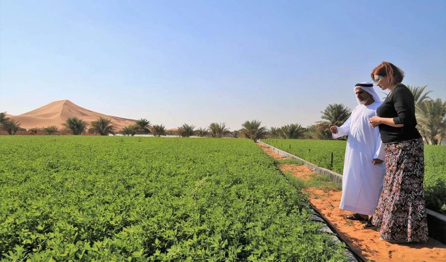 An ICBA scientist helps a farm-owner in the Al Wagan area near Al-Ain, UAE, December 6, 2018. HANDOUT/International Center for Biosaline Agriculture (ICBA)