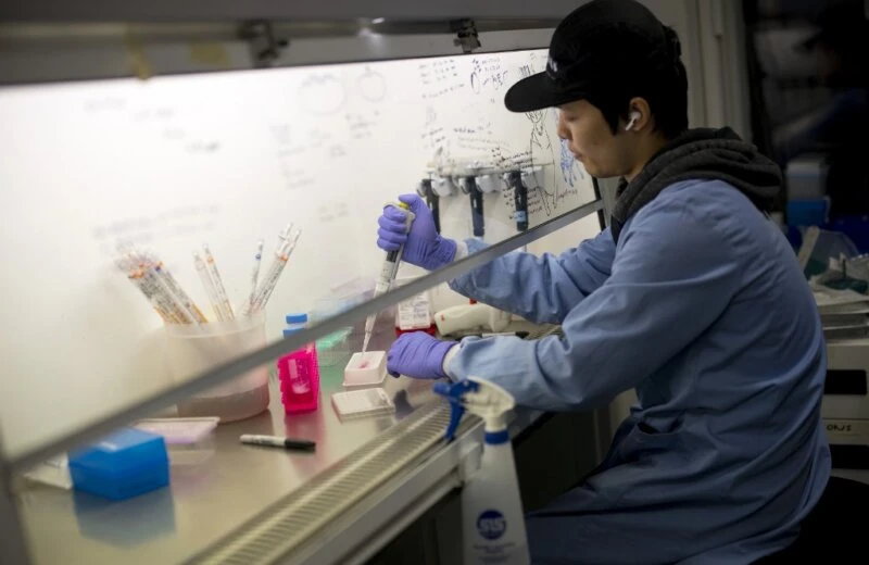 UK to trial 5 new drugs in coronavirus fight