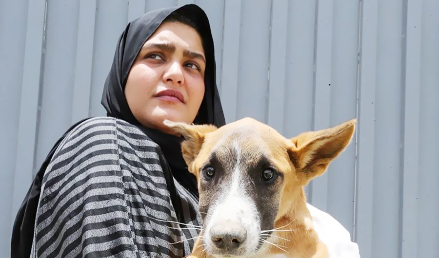 Saudi innovators vie for prize with app that finds homes for animals