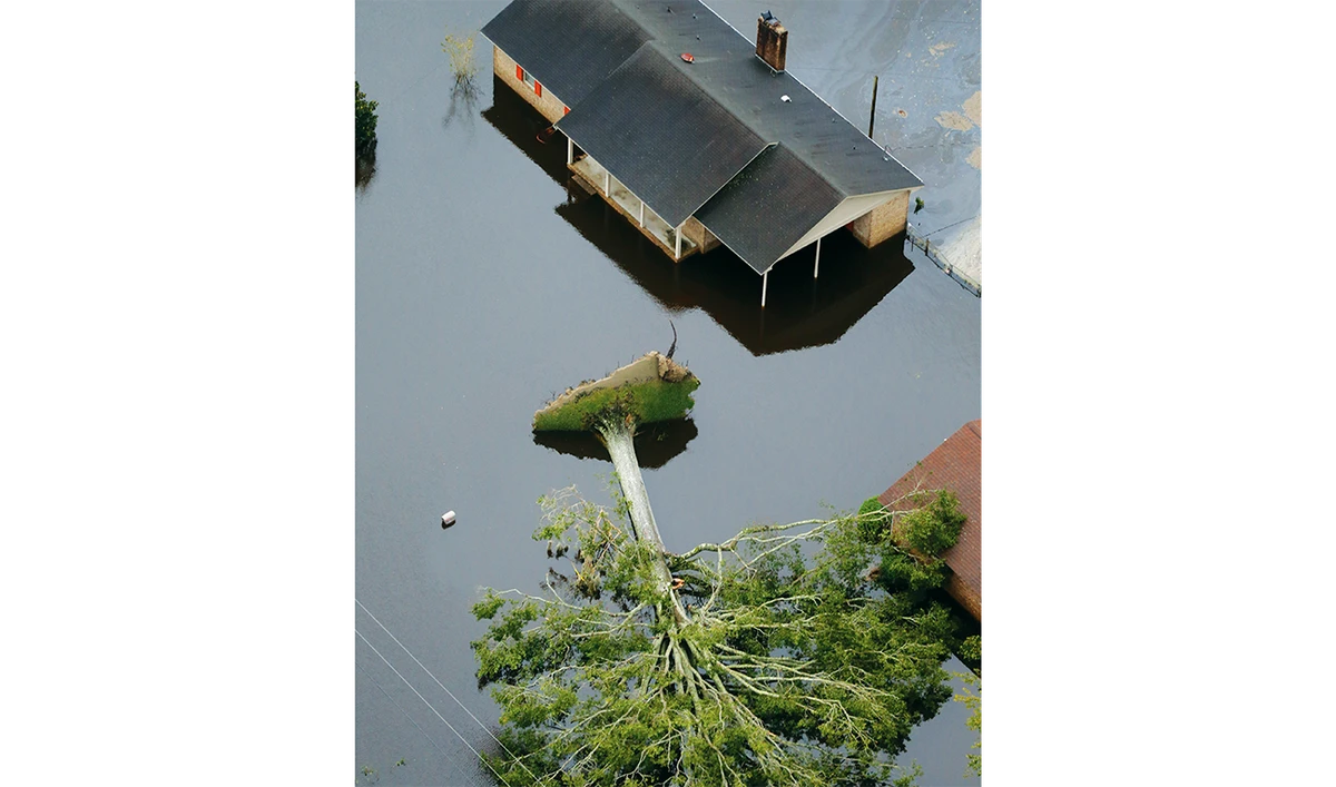 Hurricanes to cause more pain for pandemic-hit insurers