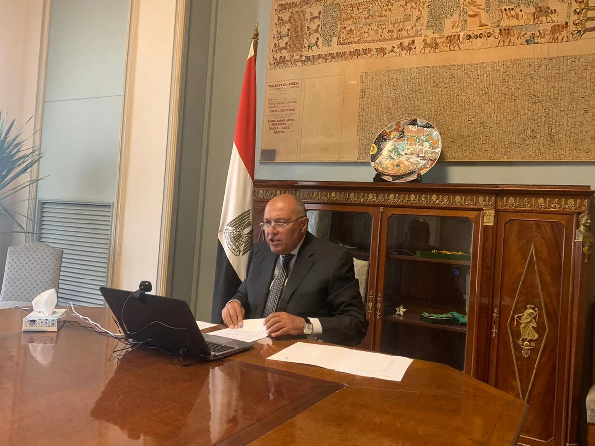 In a video conference held by the coalition, Sameh Shoukry said Egypt’s efforts in curbing the group’s ambitions would continue. (Courtesy: @MFAEgypt)