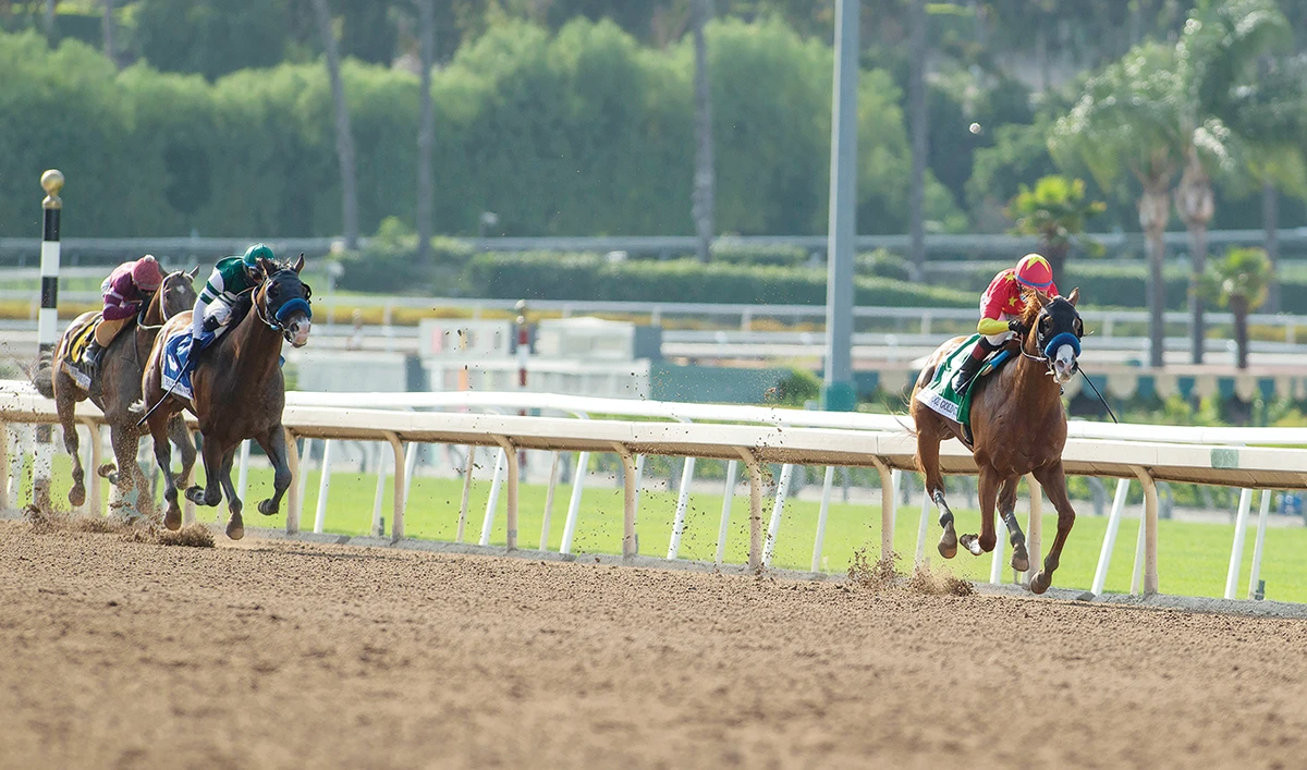 Improbable, right, with Drayden Van Dyke aboard, draws away from the field and goes on to win the Hollywood Gold Cup horse race on Saturday at Santa Anita Park. (AP)