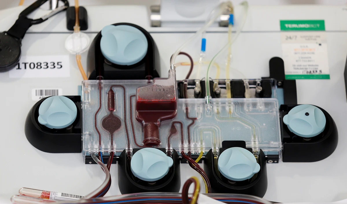Black market for patient plasma emerges in Egypt