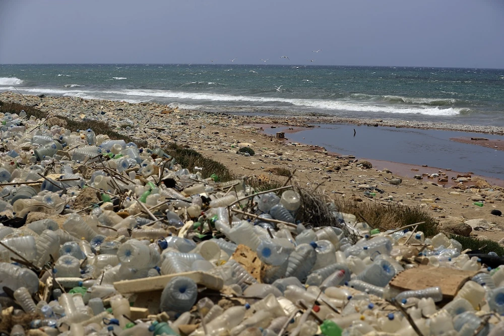 Seagulls search for food near a sewage discharge area next to piles of plastic bottles and gallons washed away by the water on the seaside of Ouzai, south of Beirut on July 19, 2018. (AFP/File Photo)