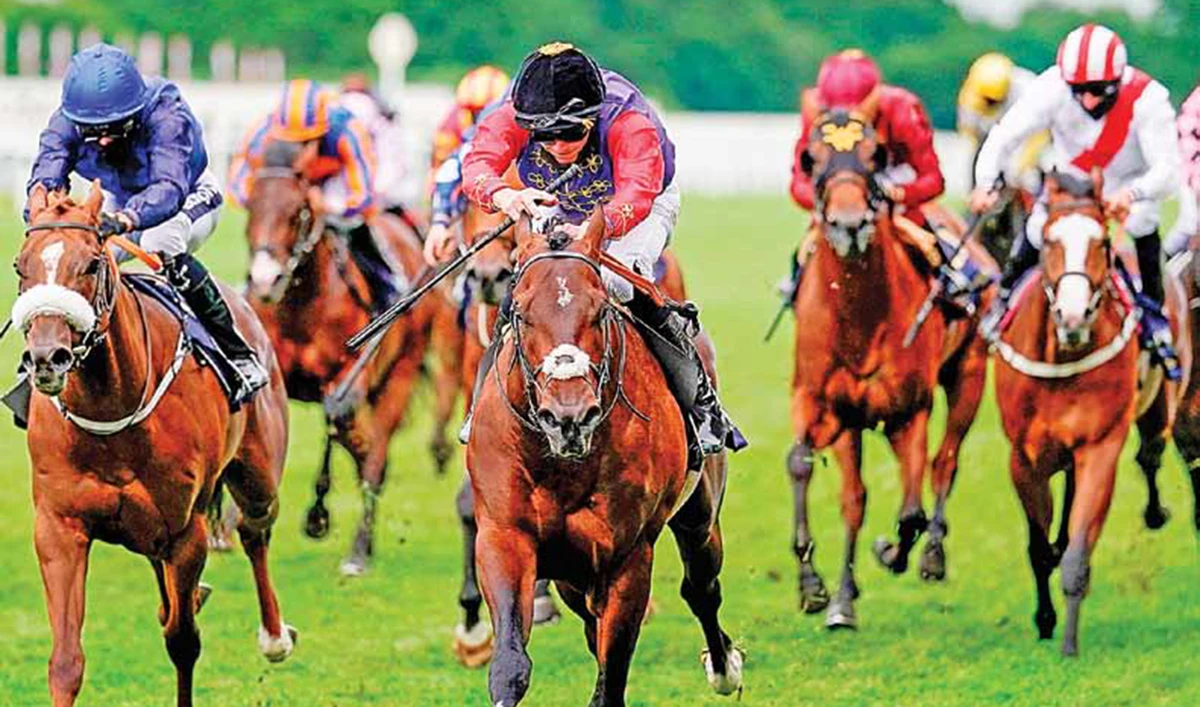 Tactical produces Royal Ascot performance fit for a Queen