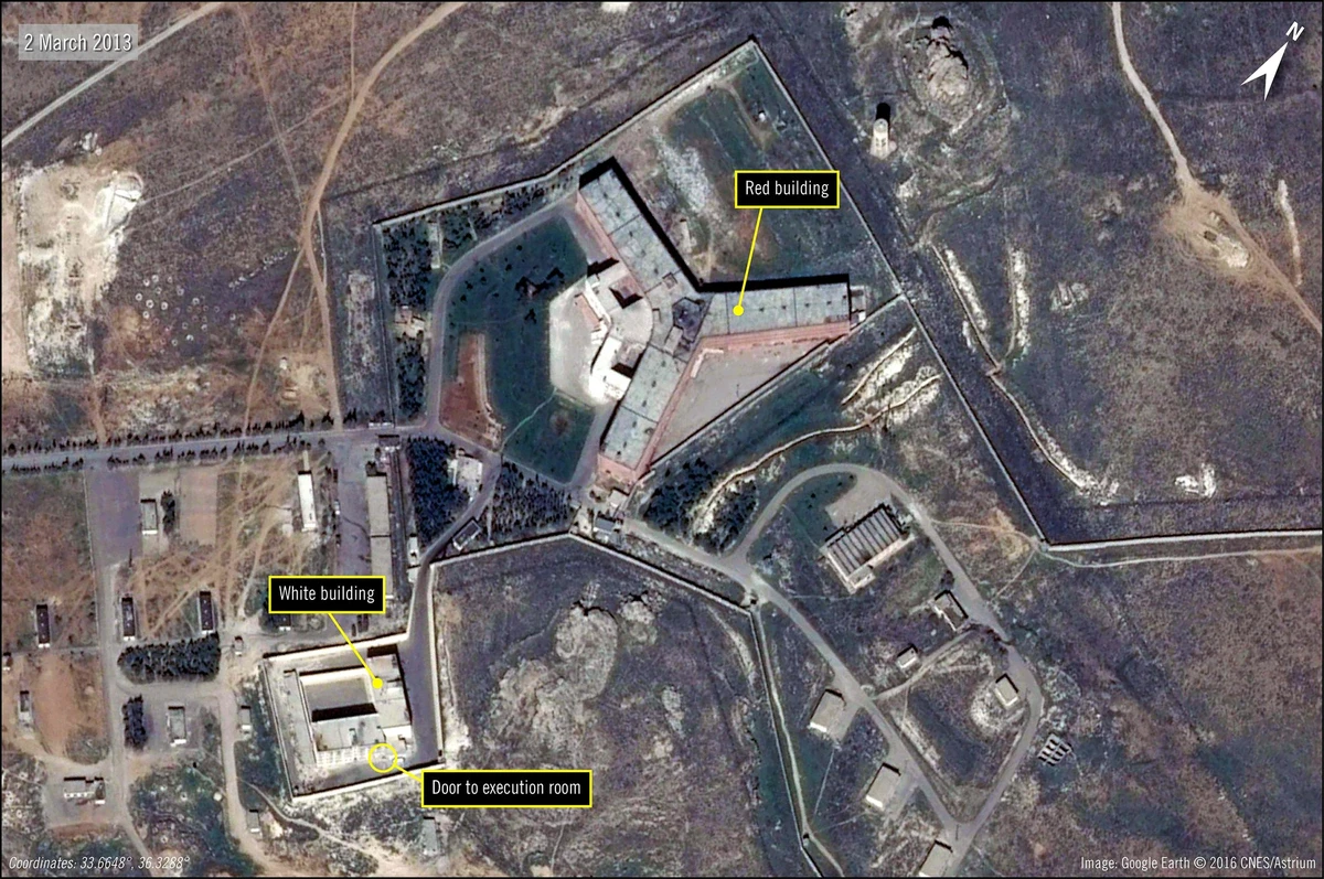 Syrians file complaint in Germany over sexual abuse in Assad's jails: NGO