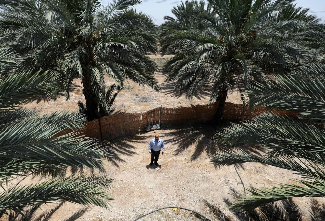 When Israeli Prime Minister Benjamin Netanyahu unveiled a map of his plans in September, he pointed to a long blue zone to be annexed, leaving a brown speck in the middle: Jericho. (AFP)