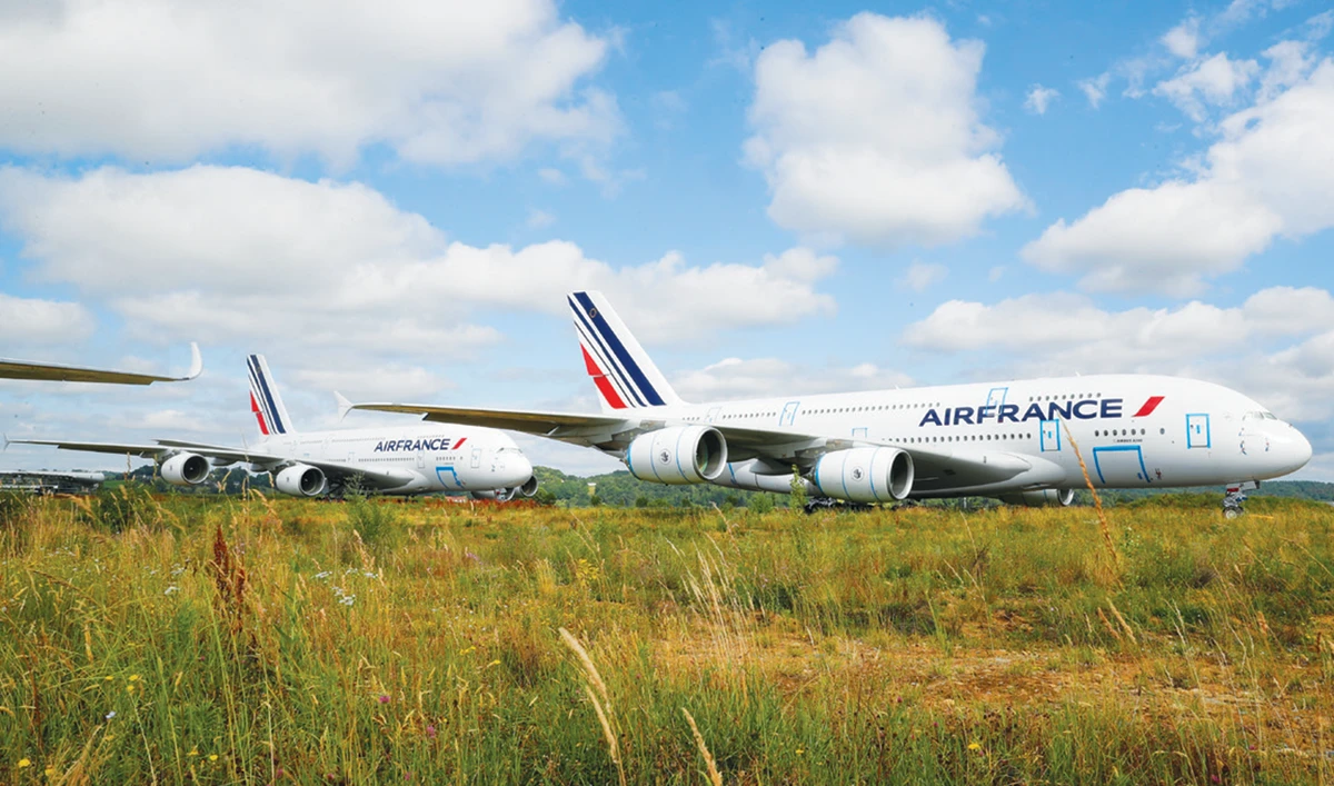 Grounded: Empty jets sit out pandemic in Pyrenees