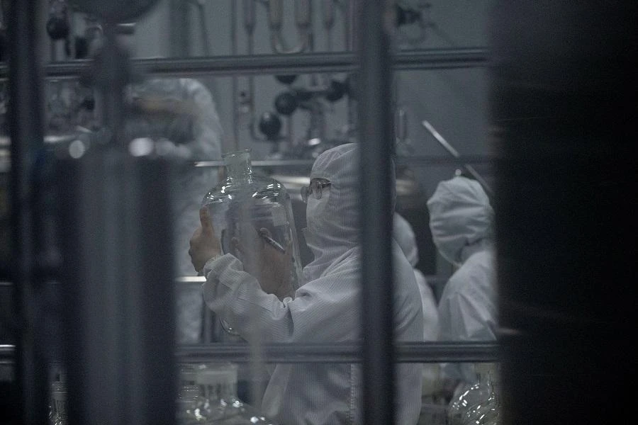 Chinese researchers warn of new virus in pigs with human pandemic risk
