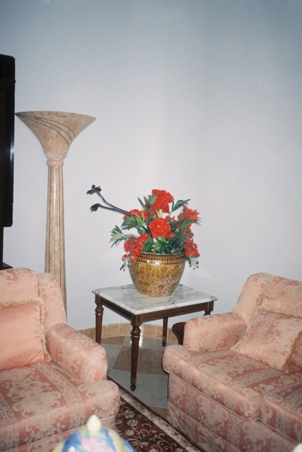 Cheb Moha