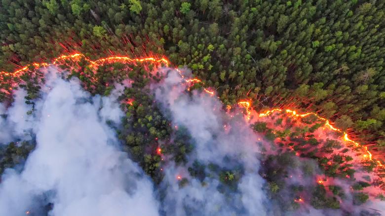World missing lockdown’s climate opportunity