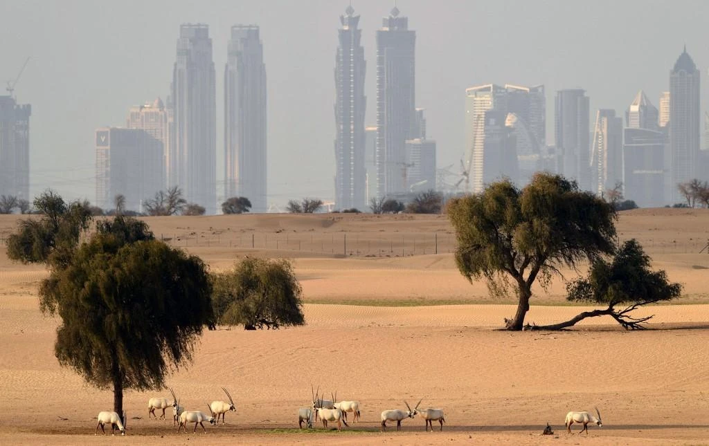 The spread of coronavirus has given the world an opportunity to strike a balance between building economic and environmental resilience, the UAE’s Sheikha Shamma bint Sultan bin Khalifa Al-Nahyan said. (File/AFP)