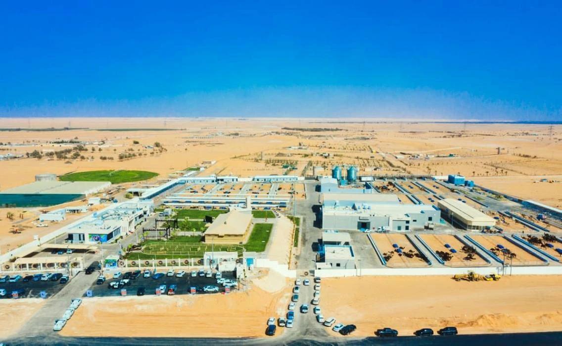 Saudi Arabia opens world’s largest camel hospital. (Photo courtesy: Social Media)
