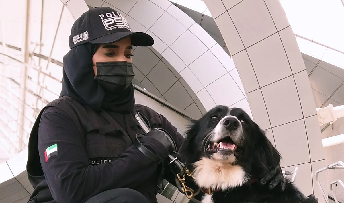 Trained dogs have previously been used to detect other diseases, including tuberculosis and malaria. (WAM)