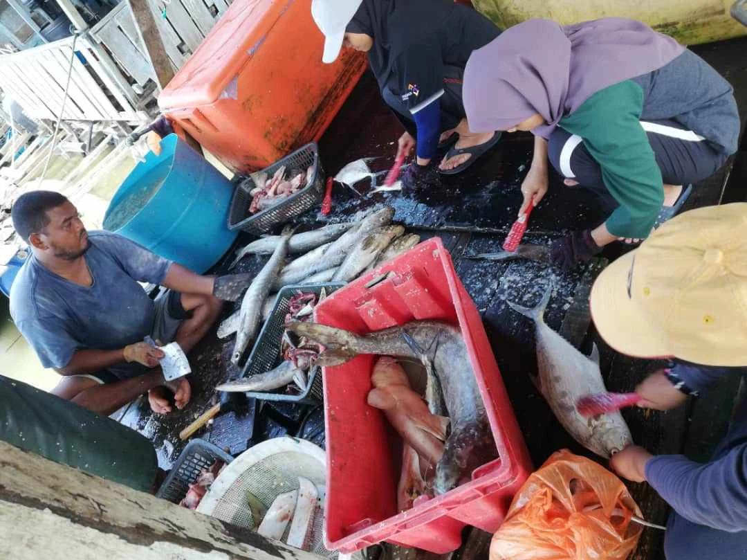 The Kelab Alami crew clean and prepare fish for the 'Big Fish Bailout' charity drive. (Photo supplied)