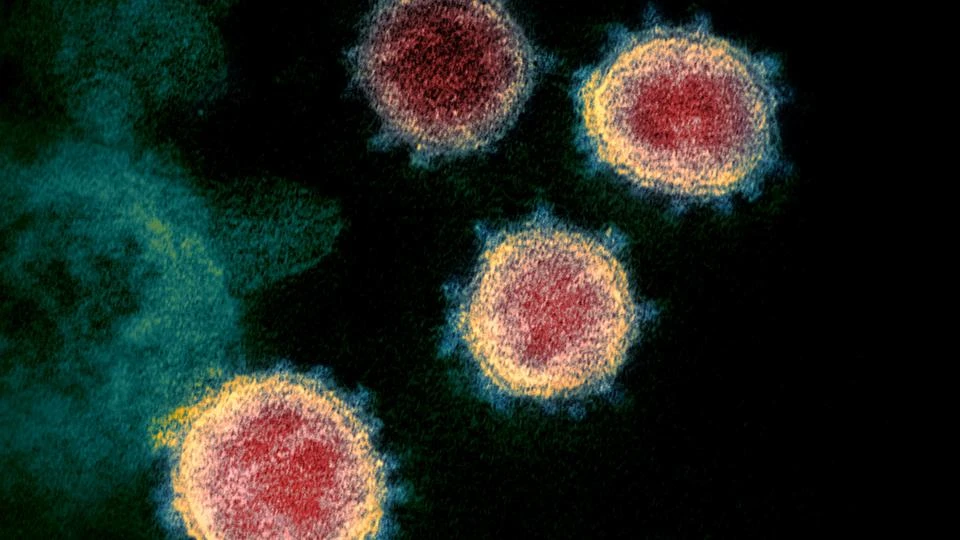 A team at King’s College London (KCL) suggested that each of the six strains it had identified came with its own set of symptoms and varied in severity. (Reuters/File Photo)