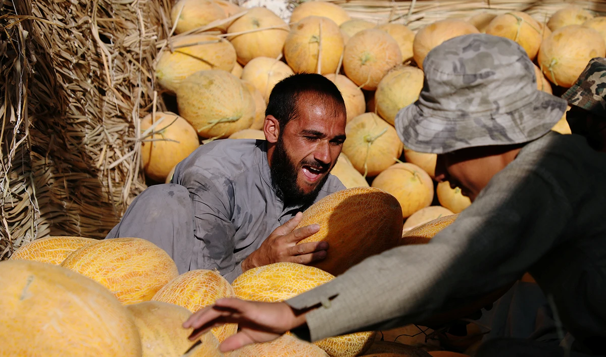 Afghan vendors unload melons for sell at a market in Kabul, Afghanistan July 22, 2020. (Reuters)