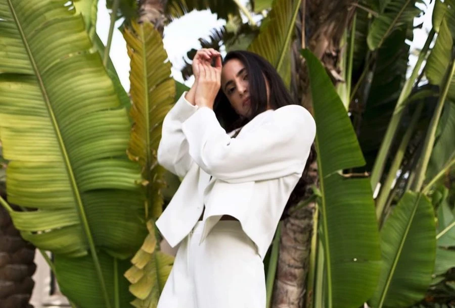 The collection is a sartorial homage to Lebanon and Armenia. Supplied