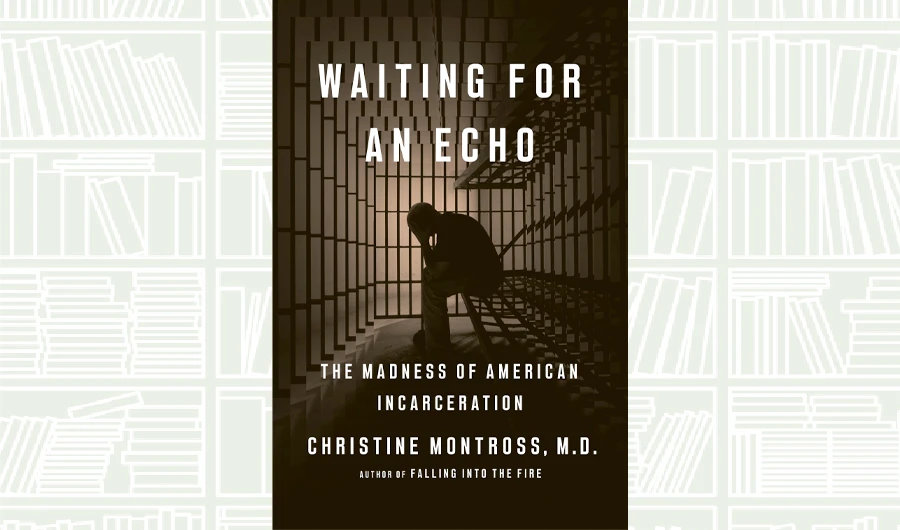 What We Are Reading Today: Waiting for an Echo by Christine Montross
