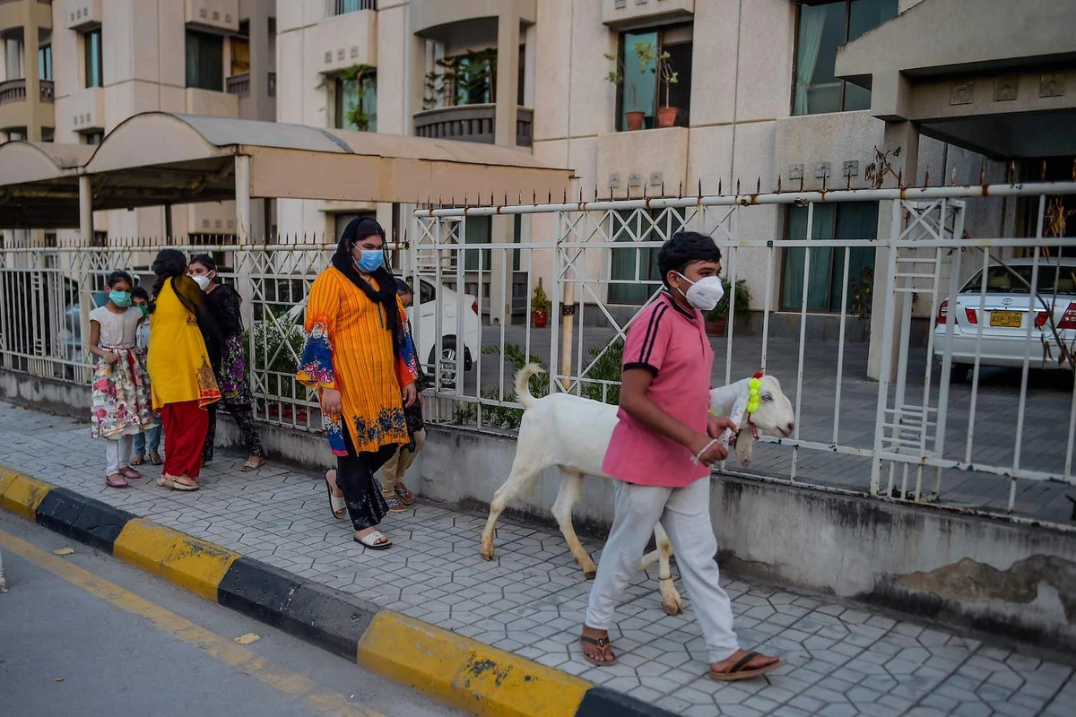 Children wearing facemasks walk with a goat ahead of Muslim festival Eid al-Adha also called the 'Festival of Sacrifice' in Rawalpindi on July 22, 2020. (AFP)