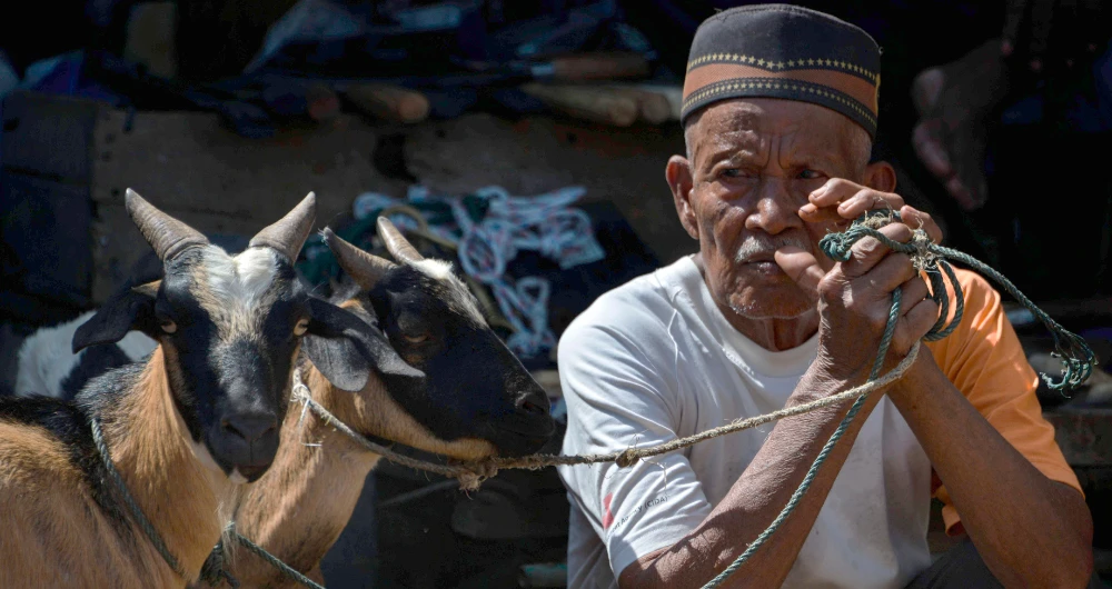 The Qurbani could involve about 117 tonnes of sacrificed meat. (AFP)